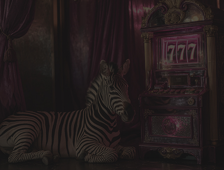 Zebra Wins